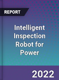 Intelligent Inspection Robot for Power Industry