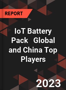 IoT Battery Pack Global and China Top Players Market