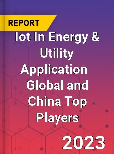 Iot In Energy & Utility Application Global and China Top Players Market