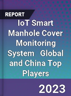 IoT Smart Manhole Cover Monitoring System Global and China Top Players Market