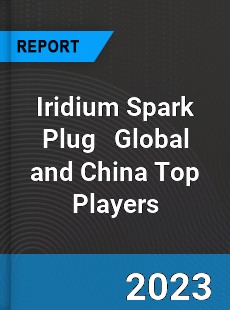 Iridium Spark Plug Global and China Top Players Market