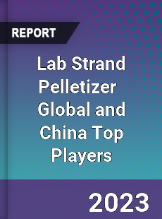 Lab Strand Pelletizer Global and China Top Players Market