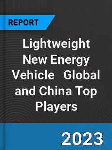 Lightweight New Energy Vehicle Global and China Top Players Market