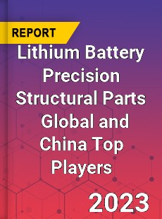 Lithium Battery Precision Structural Parts Global and China Top Players Market