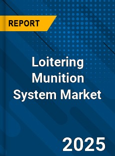 Loitering Munition System Global and China Top Players Market