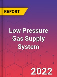 Low Pressure Gas Supply System Market
