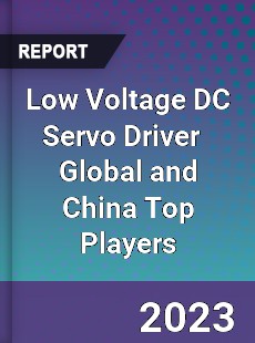 Low Voltage DC Servo Driver Global and China Top Players Market