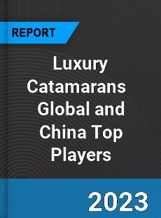 Luxury Catamarans Global and China Top Players Market