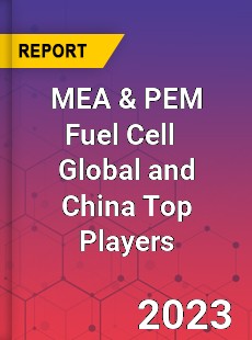 MEA amp PEM Fuel Cell Global and China Top Players Market