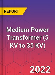 Medium Power Transformer Market