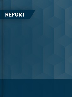 Methanol Synthetic Gasoline Global and China Top Players Market