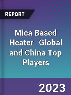 Mica Based Heater Global and China Top Players Market
