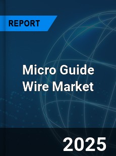 Micro Guide Wire Market