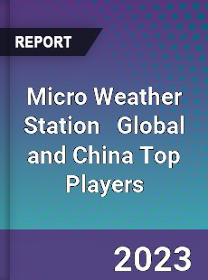 Micro Weather Station Global and China Top Players Market