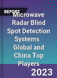Microwave Radar Blind Spot Detection Systems Global and China Top Players Market