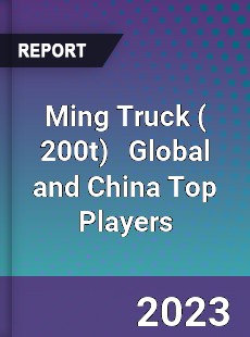 Ming Truck Global and China Top Players Market