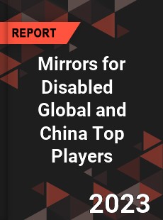 Mirrors for Disabled Global and China Top Players Market