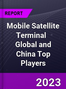 Mobile Satellite Terminal Global and China Top Players Market