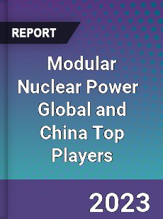 Modular Nuclear Power Global and China Top Players Market