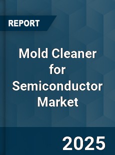 Mold Cleaner for Semiconductor