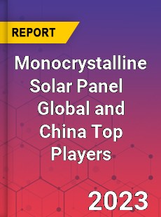 Monocrystalline Solar Panel Global and China Top Players Market