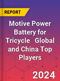 Motive Power Battery for Tricycle Global and China Top Players Market