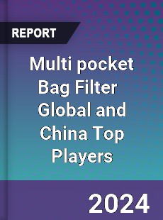 Multi pocket Bag Filter Global and China Top Players Market