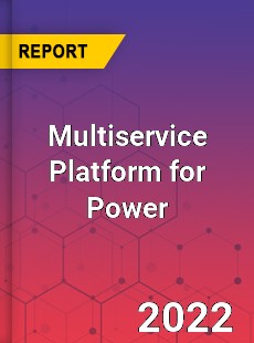 Multiservice Platform for Power Market
