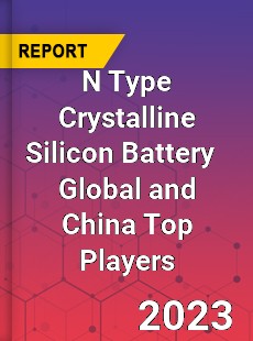 N Type Crystalline Silicon Battery Global and China Top Players Market