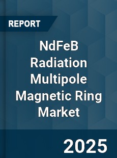 NdFeB Radiation Multipole Magnetic Ring