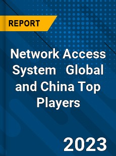 Network Access System Global and China Top Players Market