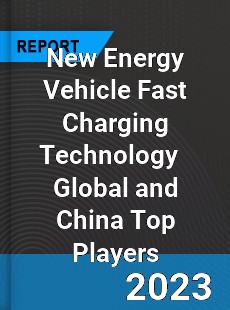 New Energy Vehicle Fast Charging Technology Global and China Top Players Market