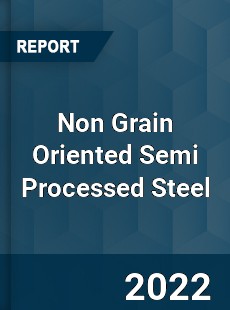 Non Grain Oriented Semi Processed Steel Market