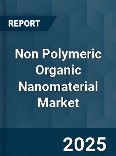 Non Polymeric Organic Nanomaterial Market