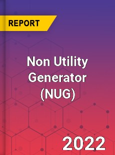 Non Utility Generator Market