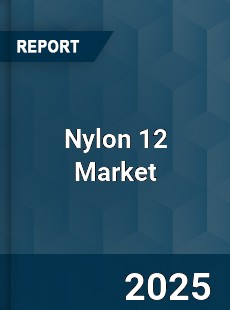 Nylon 12 Global Market