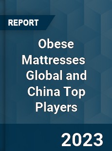 Obese Mattresses Global and China Top Players Market