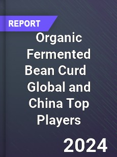 Organic Fermented Bean Curd Global and China Top Players Market