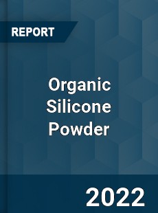 Organic Silicone Powder Market