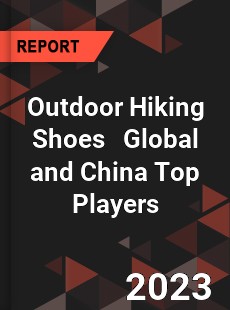 Outdoor Hiking Shoes Global and China Top Players Market