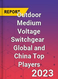 Outdoor Medium Voltage Switchgear Global and China Top Players Market