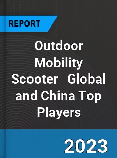Outdoor Mobility Scooter Global and China Top Players Market