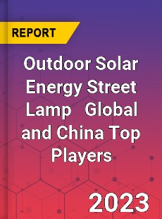 Outdoor Solar Energy Street Lamp Global and China Top Players Market