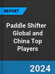 Paddle Shifter Global and China Top Players Market