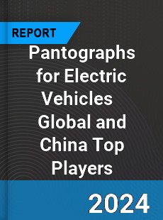 Pantographs for Electric Vehicles Global and China Top Players Market