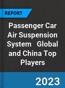 Passenger Car Air Suspension System Global and China Top Players Market