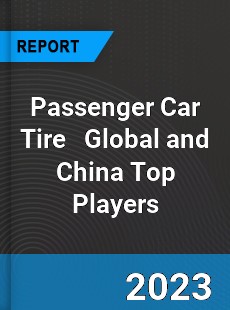 Passenger Car Tire Global and China Top Players Market