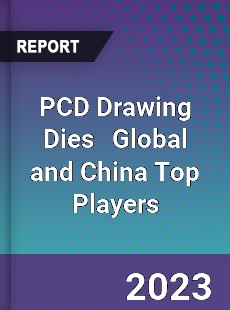 PCD Drawing Dies Global and China Top Players Market