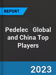 Pedelec Global and China Top Players Market