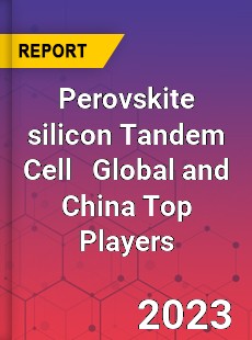 Perovskite silicon Tandem Cell Global and China Top Players Market